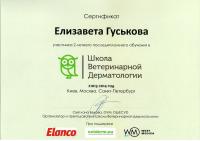 Сертификат сотрудника Гуськова Е.Д.