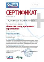 Сертификат сотрудника Закружная А.Д.