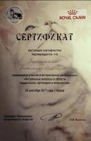 Сертификат сотрудника Закружная А.Д.