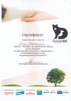 Сертификат сотрудника Шабалкина Е.В.