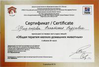 Сертификат сотрудника Шишмарева А.А.