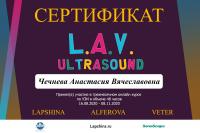 Сертификат сотрудника Чечнева А.В.