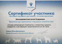 Сертификат сотрудника Шишмарева А.А.
