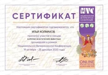 Сертификат сотрудника Колмаков И.С.