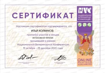 Сертификат сотрудника Колмаков И.С.