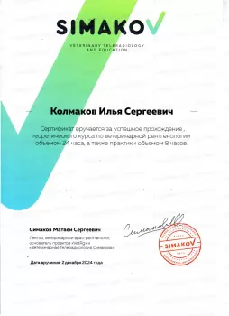 Сертификат сотрудника Колмаков И.С.