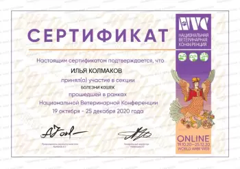 Сертификат сотрудника Колмаков И.С.