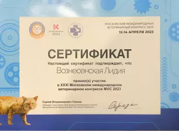 Сертификат клиники Хвостатая помощь