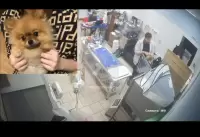 Александр Чахно, изображение к комментарию.