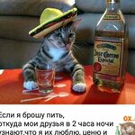 Елизавета Голенкова