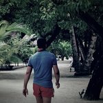 константин носачев