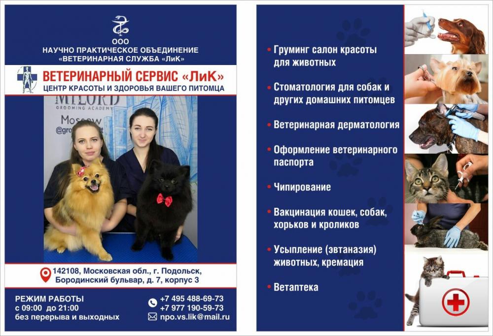 слайд