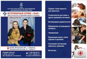 Фотография ЛиК 0