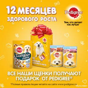 Фотография Мультивет 3