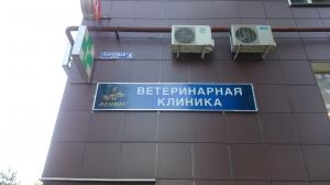 Фотография Феникс 5