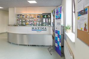 Фотография Maxima vet 1