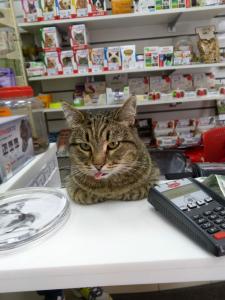 Фотография Petgroup 5
