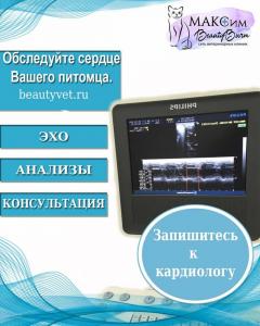 Фотография Максим, ветеринарная клиника 5