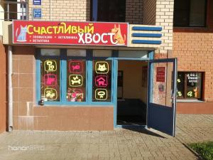 Фотография Счастливый Хвост 1