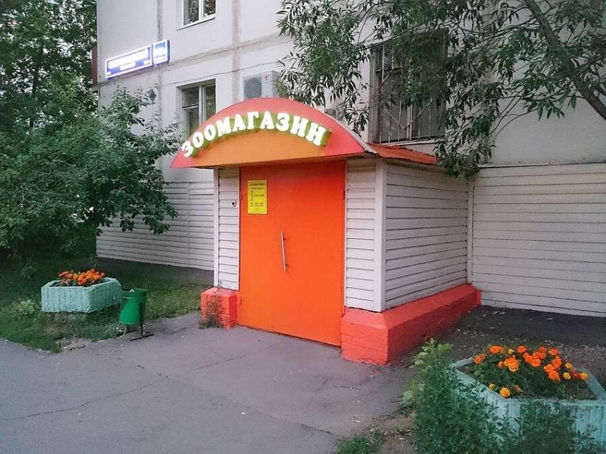 слайд