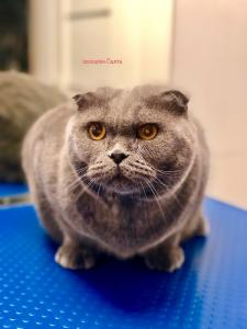 Фотография Салта 2
