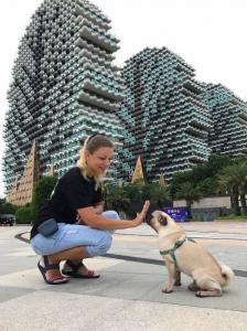 Фотография SmartDogRussia 4