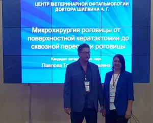 Фотография Центр ветеринарной офтальмологии доктора Шилкина А.Г. 4