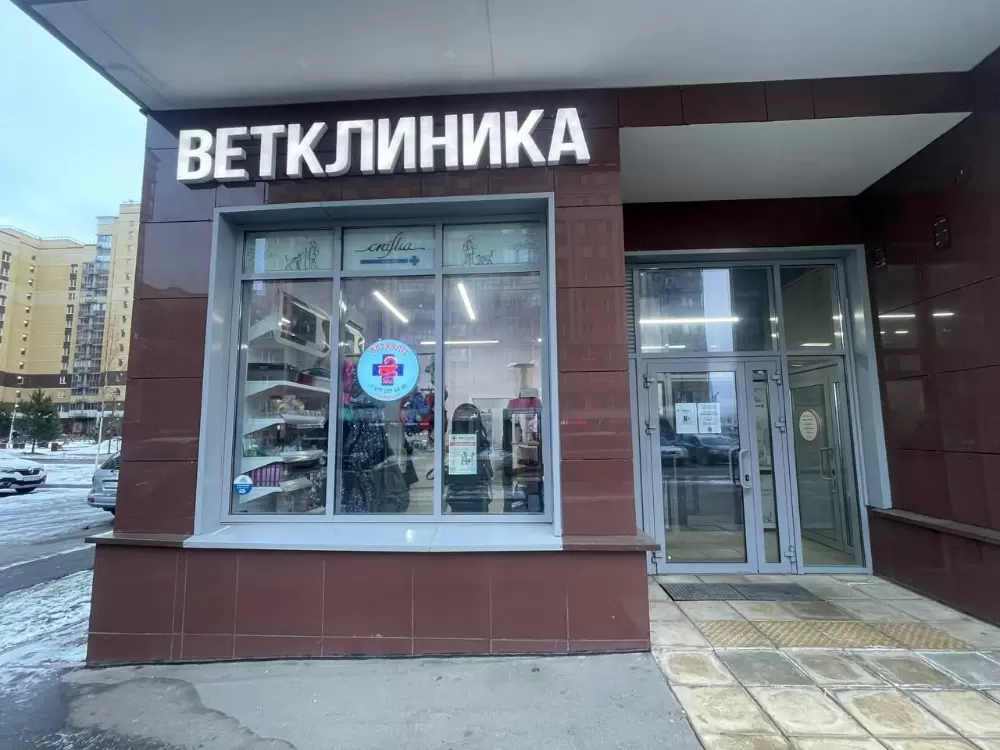 слайд
