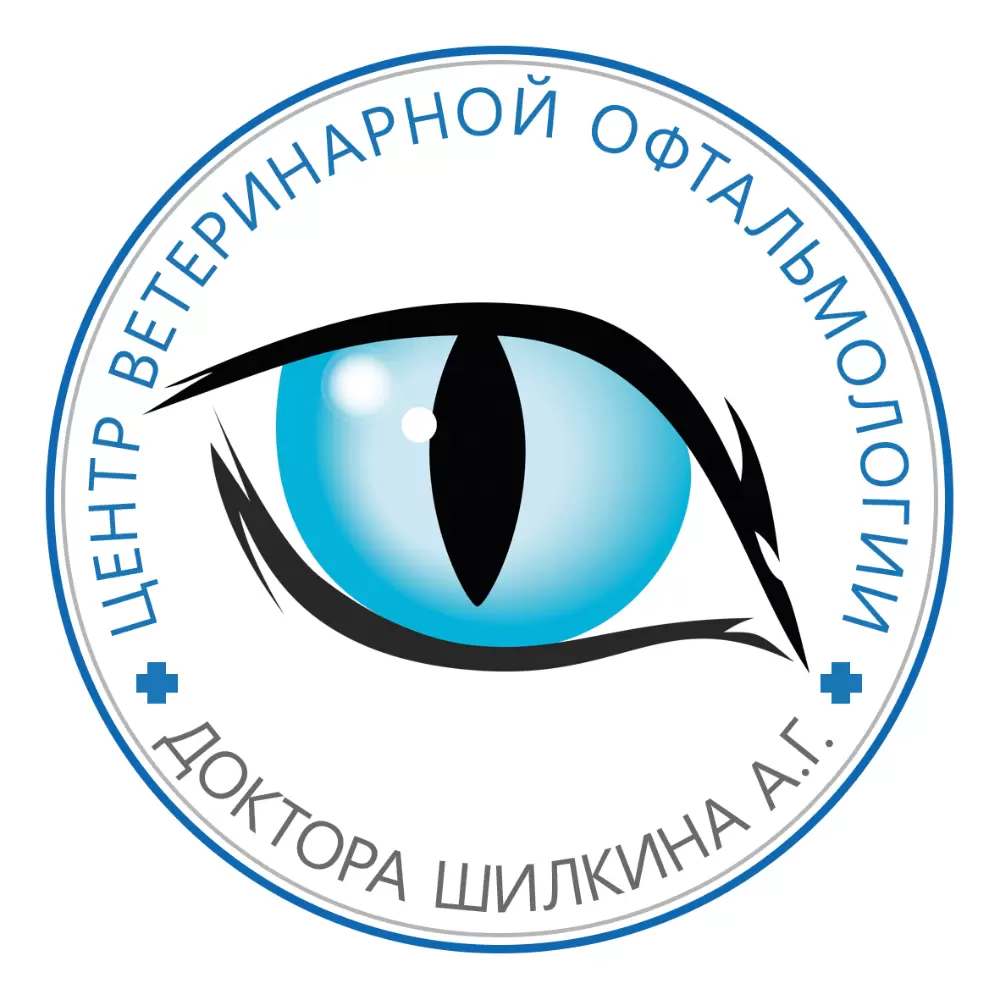 слайд