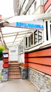 Фотография Максим, ветеринарная клиника 0