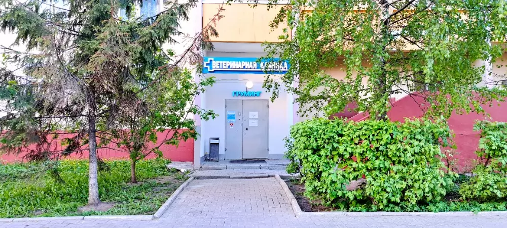 слайд