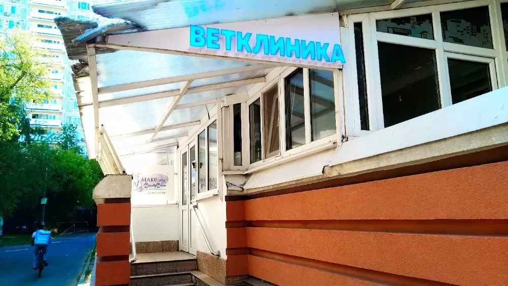 слайд