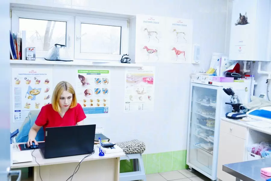 слайд