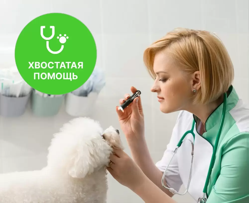 слайд