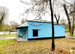 Фотография Максим, ветеринарная клиника 1