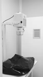 Фотография Ветеринарная клиника МАСВЕТ 1