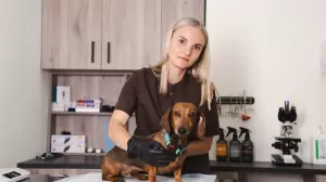 Фотография Ветеринарная клиника МАСВЕТ 5