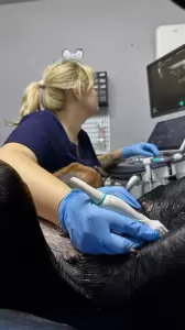 Фотография Планета 3