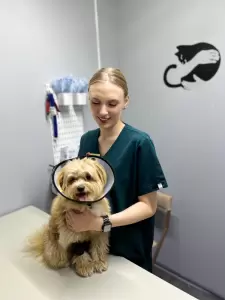 Фотография Планета 5