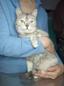 Фотография МартВет 0