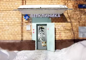 Фотография ВетерОк 0